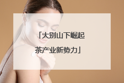 大别山下崛起茶产业新势力